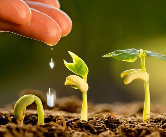 1478073024_Frbdt4_agritech